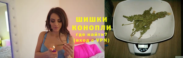 соль ск Горно-Алтайск