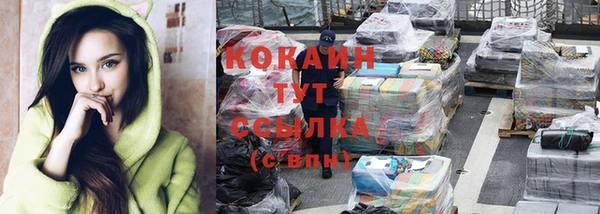 ПСИЛОЦИБИНОВЫЕ ГРИБЫ Горнозаводск