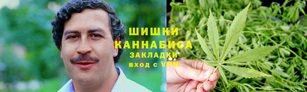 ПСИЛОЦИБИНОВЫЕ ГРИБЫ Горнозаводск