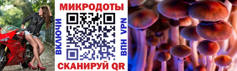 Псилоцибиновые грибы ЛСД  наркотики  Северск 